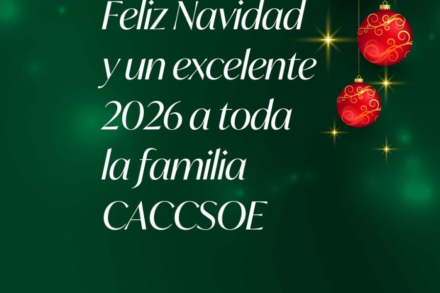 Les deseamos Feliz Navidad y un excelente 2026